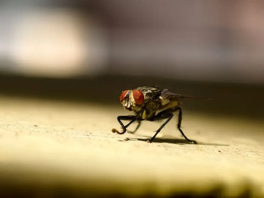 Bed Bug Expertise Built on Alabama Jobs
